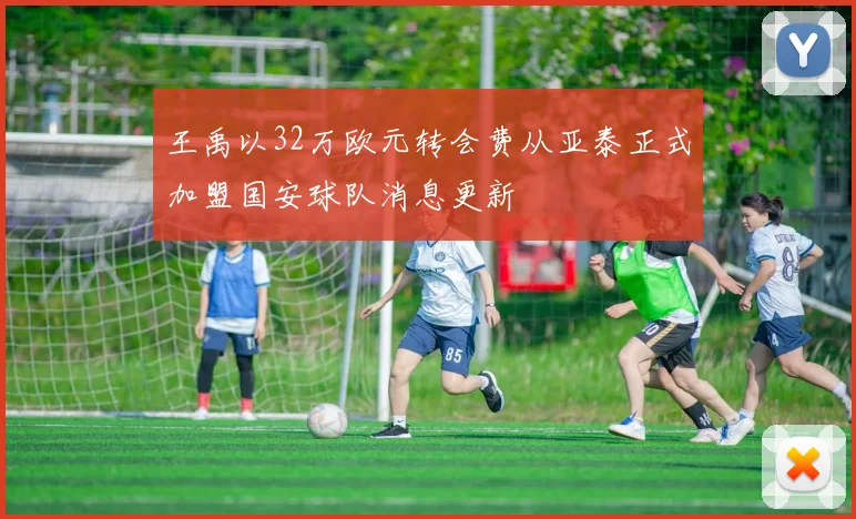 王禹以32万欧元转会费从亚泰正式加盟国安球队消息更新